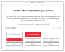 Nonhuman Rights Project