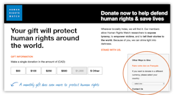 human rights watch donation form