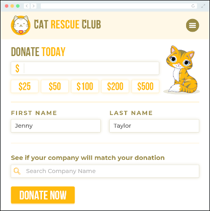example of how the 360MatchPro displays in a donation form.