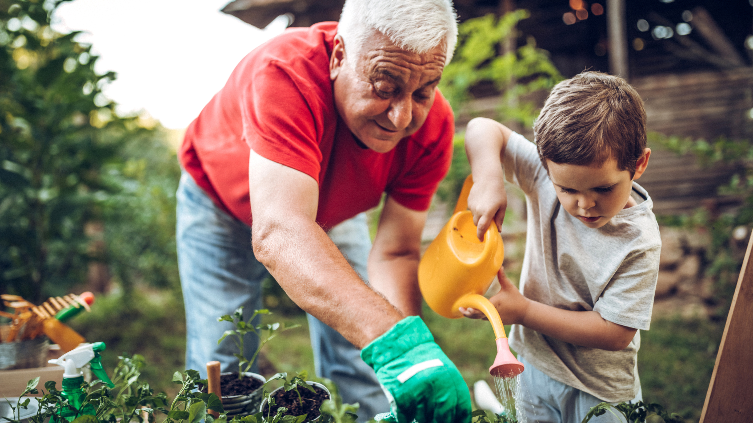 Caring Across Generations